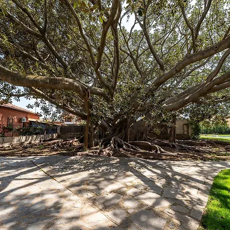 Lux Historic Giardini, With Private Pool Southsardiniaholidays