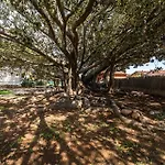 ヴィラ Lux Historic Giardini, With Private Pool Southsardiniaholidays