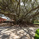 Lux Historic Giardini, With Private Pool Southsardiniaholidays