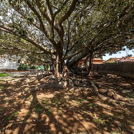 Villa Historic Giardini, Pool And Private Park